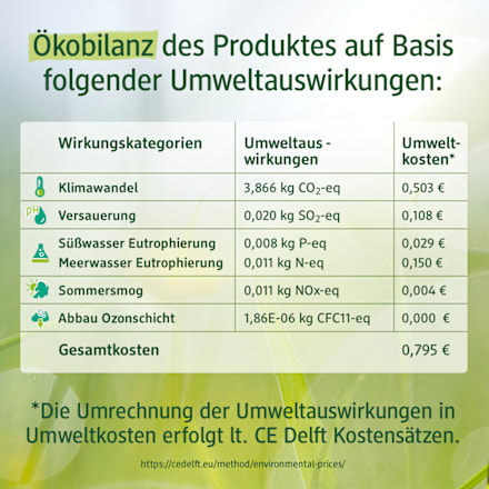 Schlafanzug Pro Climate mit Obst-Muster, beige, Gr. 134/140 ALANA