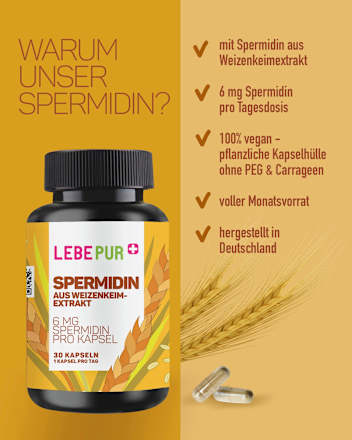 Spermidin Kapseln 30 St Lebepur