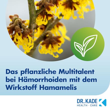 Faktu lind Hämorrhoidensalbe 62,5 mg / 1 g Salbe Wirkstoff: Hamamelisblätter- und -zweigedestillat FAKTU lind