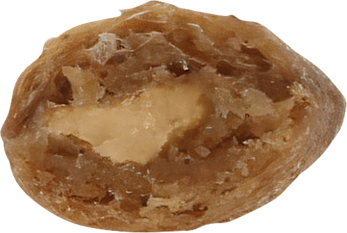 Katzenleckerlie mit Huhn, Lucky Ones Krunchy Krisps Lucky Lou