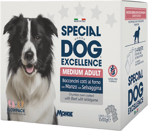 Multi pakiranje mokre hrane za odrasle pse srednjih pasem Divjačina + Govedina, 12x100 g SPECIAL DOG EXCELLENCE