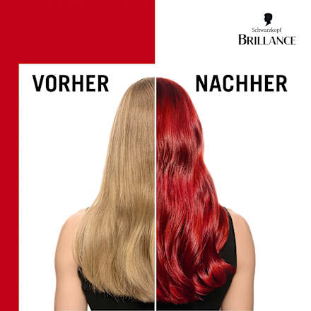 Haarfarbe 842 Kaschmirrot Schwarzkopf Brillance