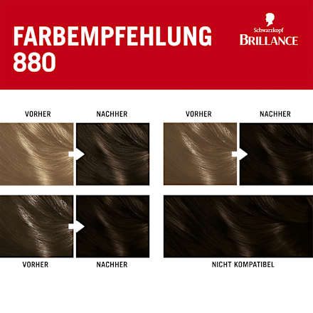 Haarfarbe 880 Dunkelbraun Schwarzkopf Brillance
