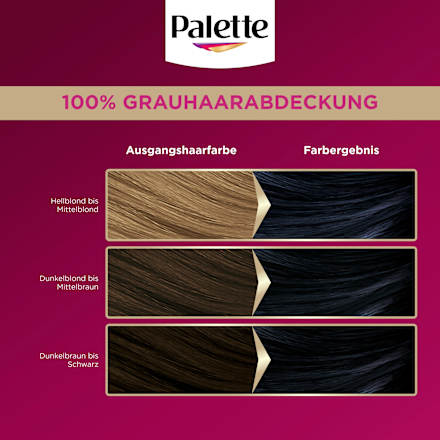 Haarfarbe 1-1/909 Blauschwarz Palette Intensive Color Creme