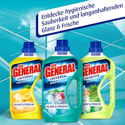 Allzweckreiniger universal Bergfrühling DER GENERAL