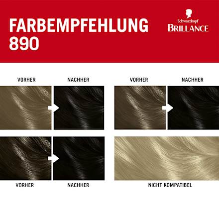 Haarfarbe 890 Schwarz Schwarzkopf Brillance