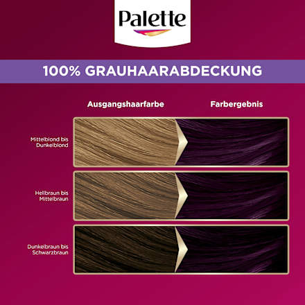 Haarfarbe 4-99 Aubergine Palette Intensive Color Creme