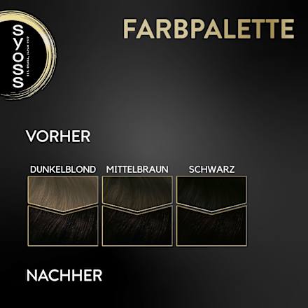 Haarfarbe 2_10 Schwarzbraun Syoss Oleo Intense