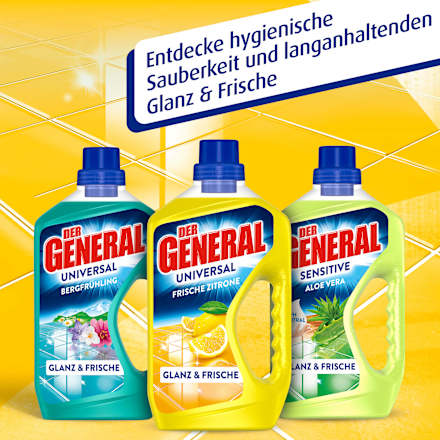 Allzweckreiniger Zitrone DER GENERAL
