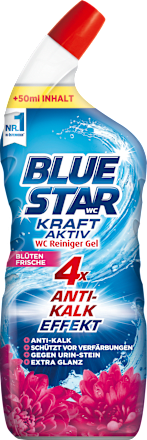 WC Reiniger Gel Kraft Aktiv Blütenfrische BLUE STAR