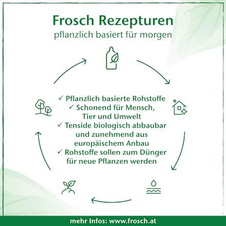 Spülmittel Zitrone Frosch