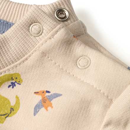 Sweatshirt mit Dino-Muster, beige, Gr. 62 ALANA