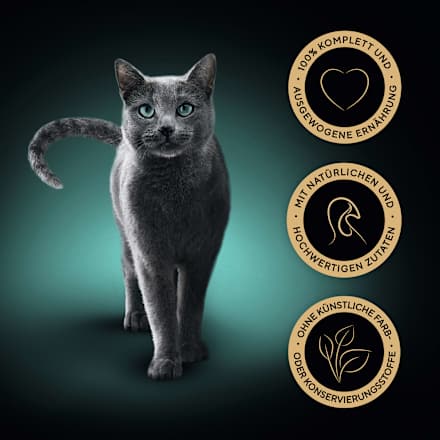 Nassfutter Katze Sauce Collection mit Pute Sheba