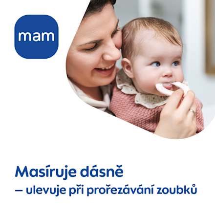 kousátko Bite & Brush, tyrkysové mam