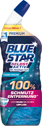 WC Reiniger Gel Selbst Aktiv Meeres Frische BLUE STAR