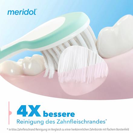 Zahnbürste Zahnfleischschutz sanft (Doppelpack) meridol