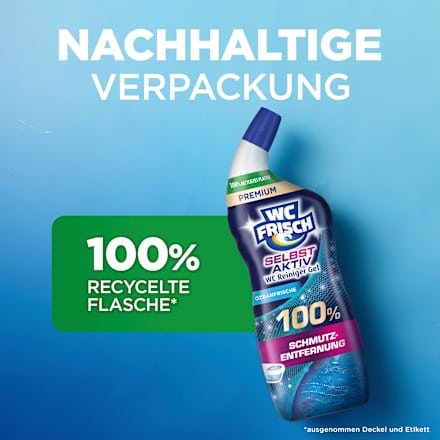 WC-Reiniger Gel Selbst Aktiv Ozeanfrische WC-Frisch