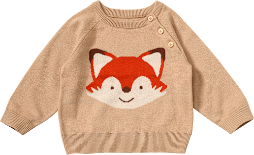 Strickpullover mit Fuchs-Motiv & Raglan-Ärmel, beige, Gr. 74 ALANA