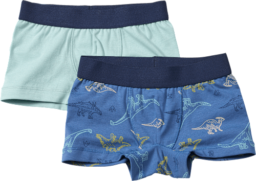 Boxershorts mit Dino-Muster, blau + grün, Gr. 110/116 ALANA