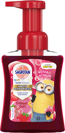 Schaumseife Samt Sagrotan