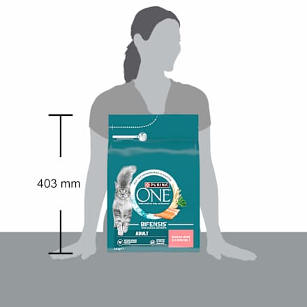 Trockenfutter Katze mit Lachs & Vollkorn Getreide, Adult PURINA ONE