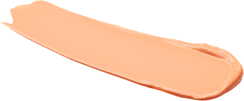 Fond de ten True Match Hyaluron Tinted B. 2.5 L'ORÉAL PARiS