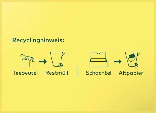 Kräutertee, Ingwer-Minze (20 Beutel) LEBENSBAUM