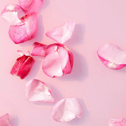 Gesichtswasser Rose Touch NIVEA