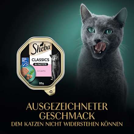 Nassfutter Katze Classics  Pastete mit Lachs Sheba