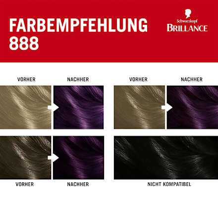 Intensiv-Color-Creme - Nr. 888 Dunkle Kirsche Schwarzkopf Brillance
