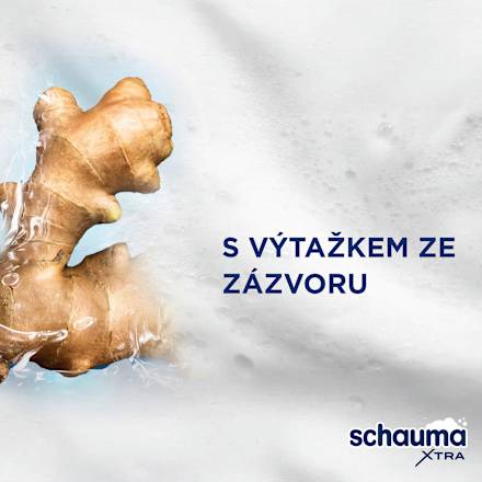 Anti-Dandruff intenzivní šampon proti lupům Intense schauma