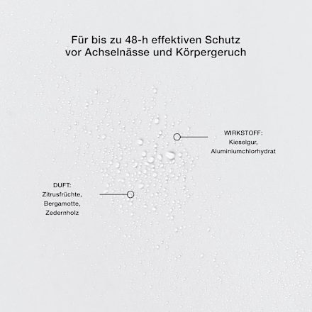Deodorant antiperspirant spray Sport SEINZ.