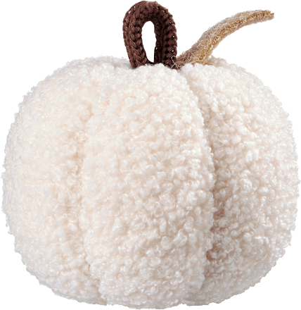 Kürbis Teddyfell, creme (10 cm) BOLTZE