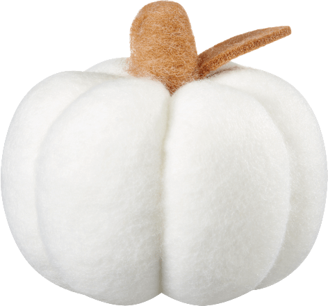Filzkürbis weiß (13 cm) BOLTZE