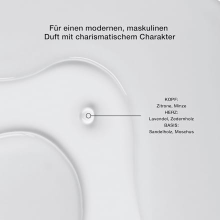 Classic Eau de Toilette SEINZ.