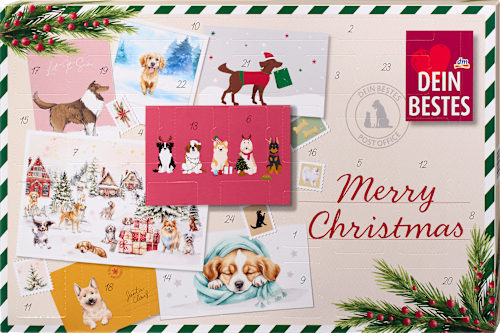 Adventskalender 2026 - merry christmas für Hunde Dein Bestes