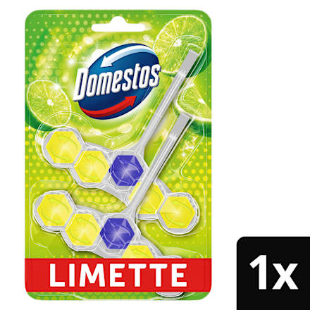 WC-Stein Limette Domestos