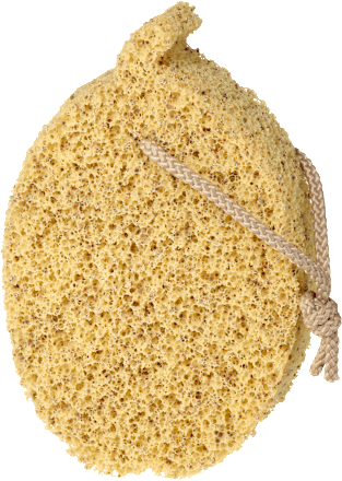 Peeling-Schwamm ebelin