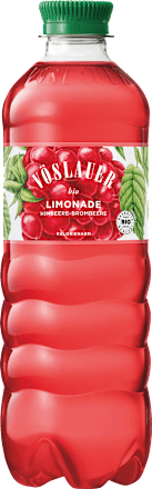 Erfrischungsgetränk Limonade Himbeere-Brombeere Bio VÖSLAUER