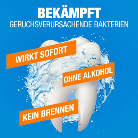 Mundspülung Frischer Atem Icy Mint The Breath Co