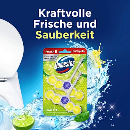 WC-Stein Limette Domestos