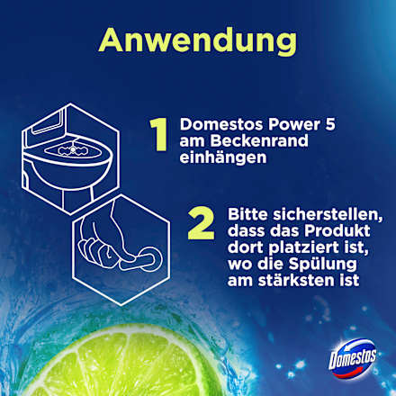 WC-Stein Limette Domestos