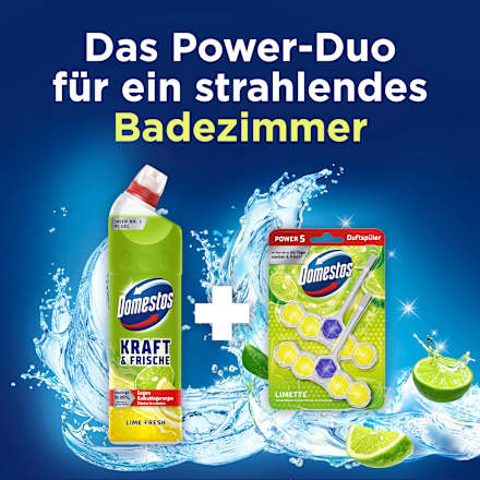 WC-Stein Limette Domestos