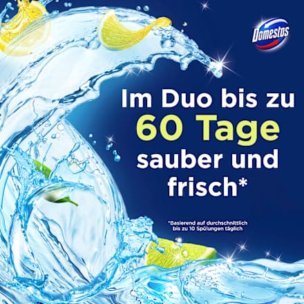 WC-Stein Limette Domestos