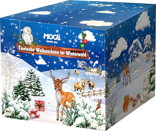 Adventkalender für Kinder MOGLi
