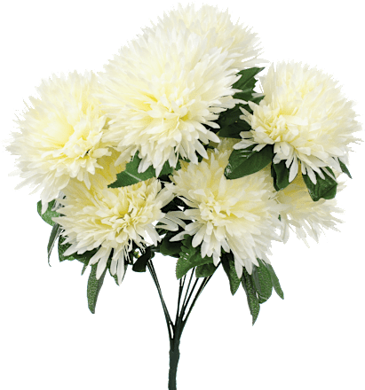 Bukiet 9 chryzantem kremowych 60 cm JUMI