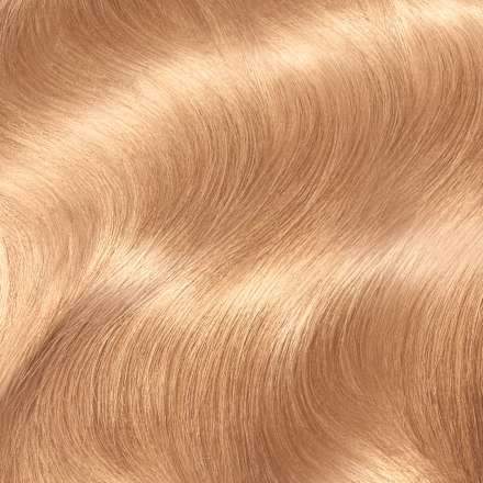 barva na vlasy 8.03 Světle zlatá blond L'ORÉAL PARiS PRÉFÉRENCE