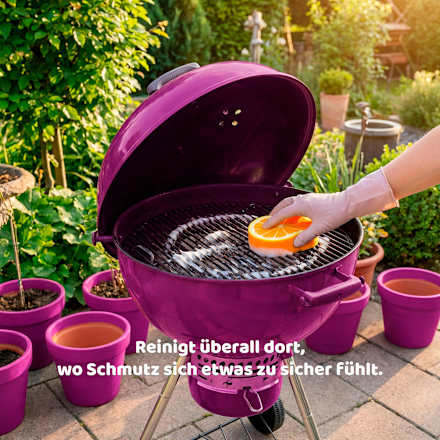 Allzweckschwamm  Orange Punch