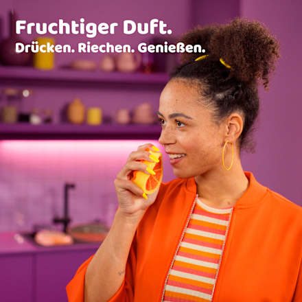 Allzweckschwamm  Orange Punch