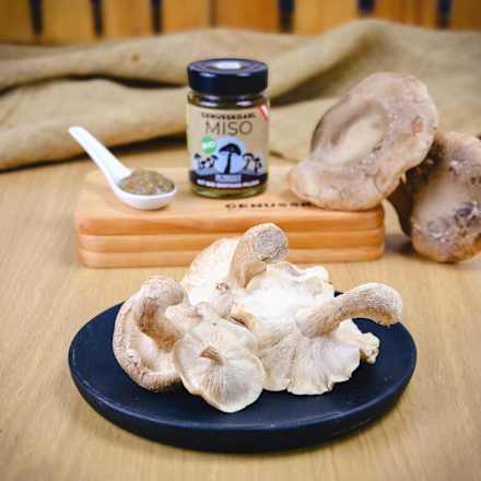 Miso mit Bio-Shiitake-Pilzen GENUSSKOARL